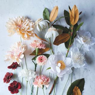 way back home 合集