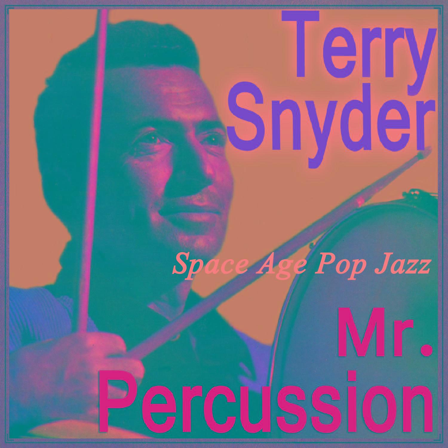 Space Age Pop Jazz, Mr. Percussion