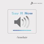 Say It Now (Album Version)专辑
