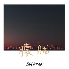 Shang,Taisheng Music《朦胧吉他谱》B调_完美编曲设计