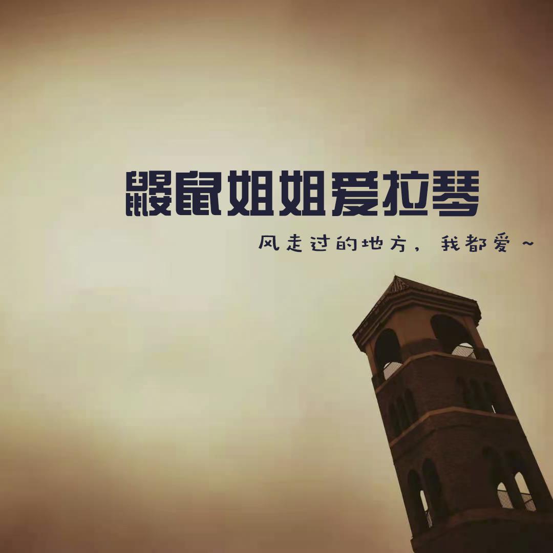 阿可丁鼹鼠姐姐爱拉琴