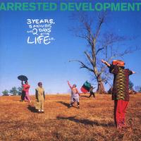 Arrested Development - People Everyday (Richastic Remix) (128-100 Transition) (Intro Clean) 100