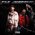 THE SHADOWS专辑