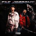 THE SHADOWS专辑