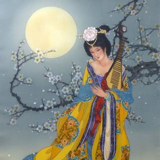 浮生若梦丨国风古韵里的诗情画意