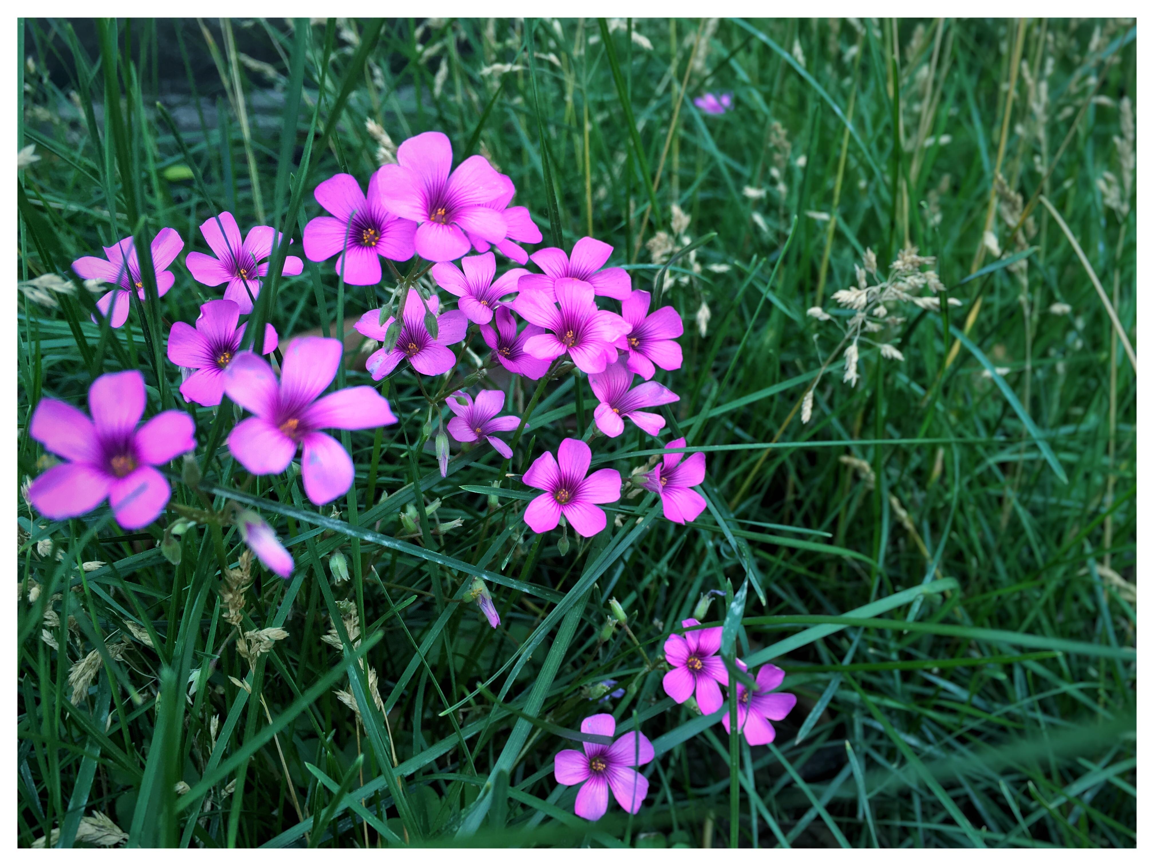 一些想唱的歌