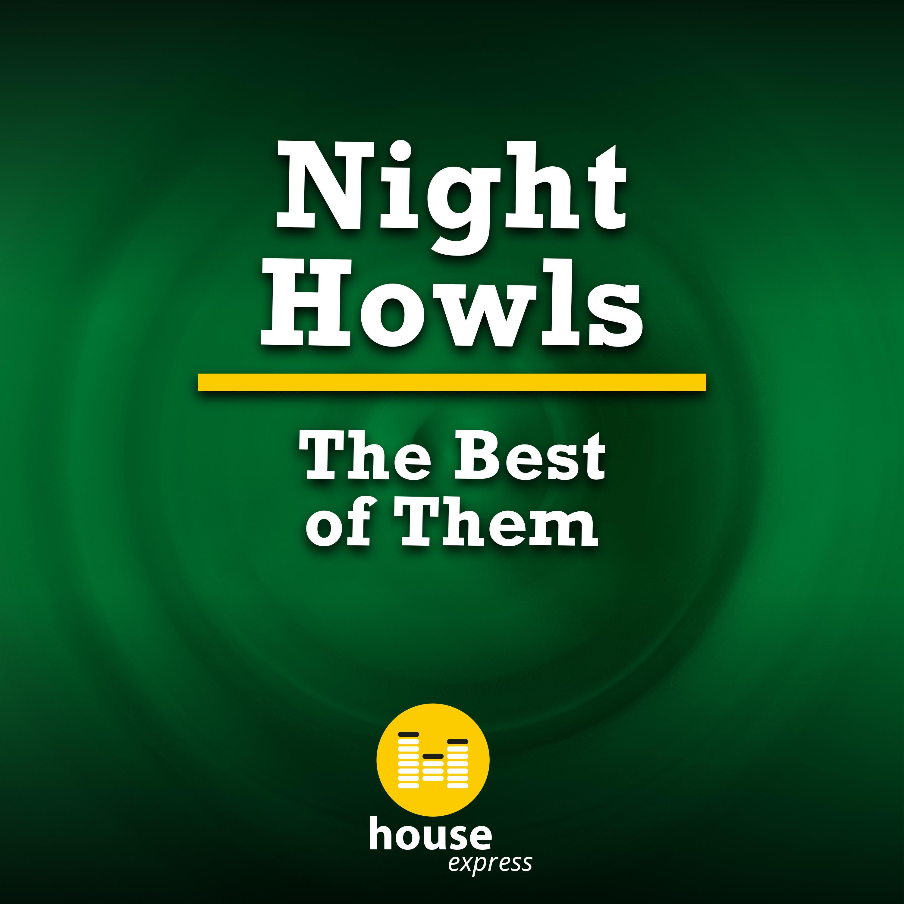 Night Howls - The Best of Them (Original Mix)