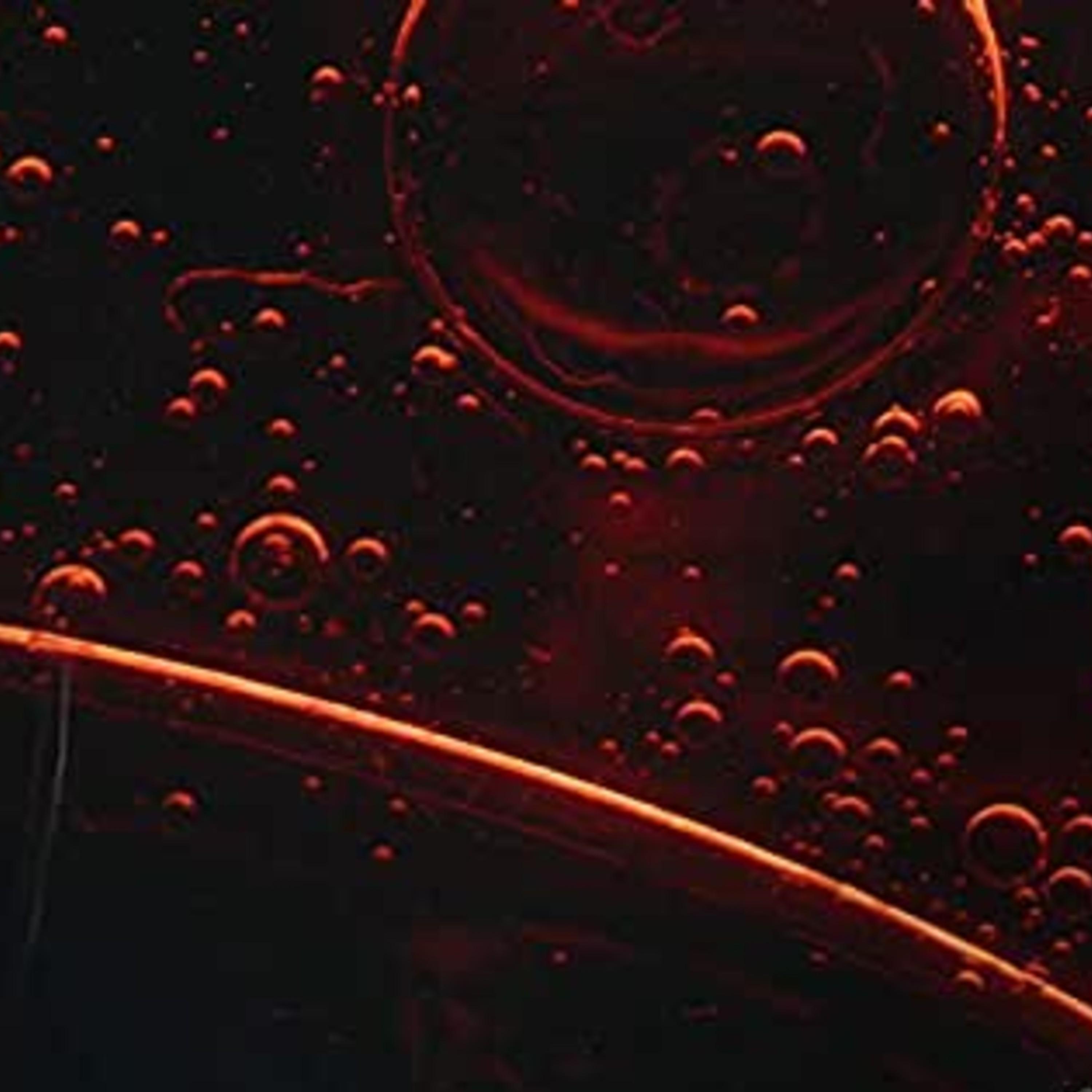 Fire With Elderbrook