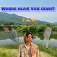 Where have you gone?