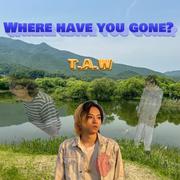 Where have you gone?