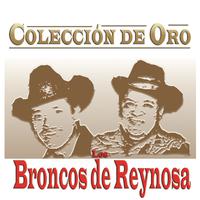 Broncos De Reynosa - Hojita Verde (karaoke)