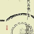 后院的秘密