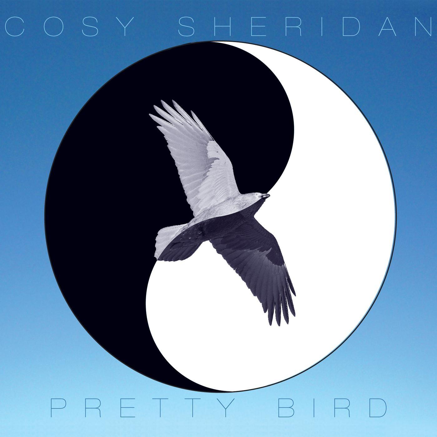 Pretty Bird