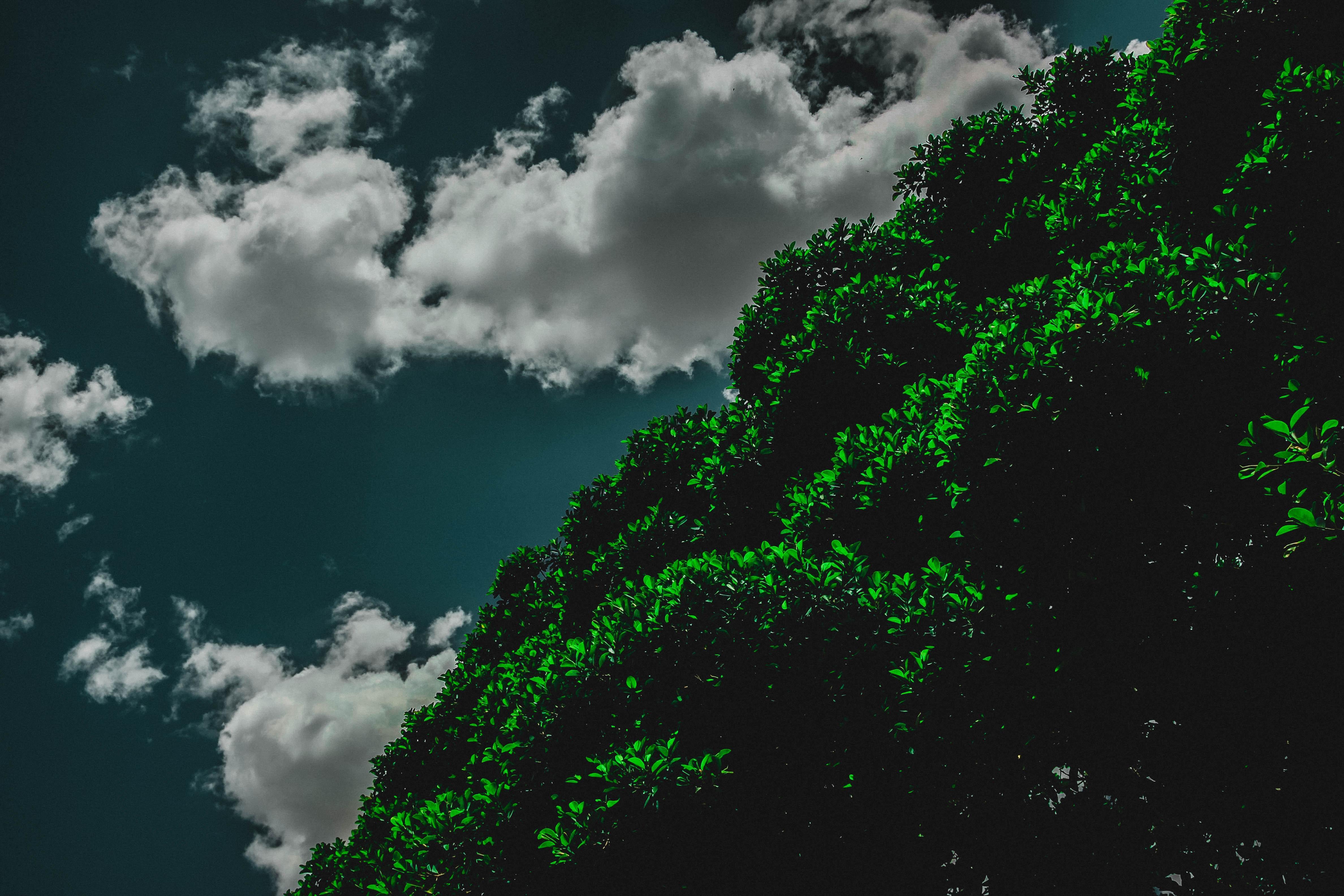 Nerve Regenerative Sounds | Rest Your Mind