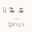 Gates专辑
