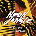 Welcome to the Jungle (Remixes) - EP专辑