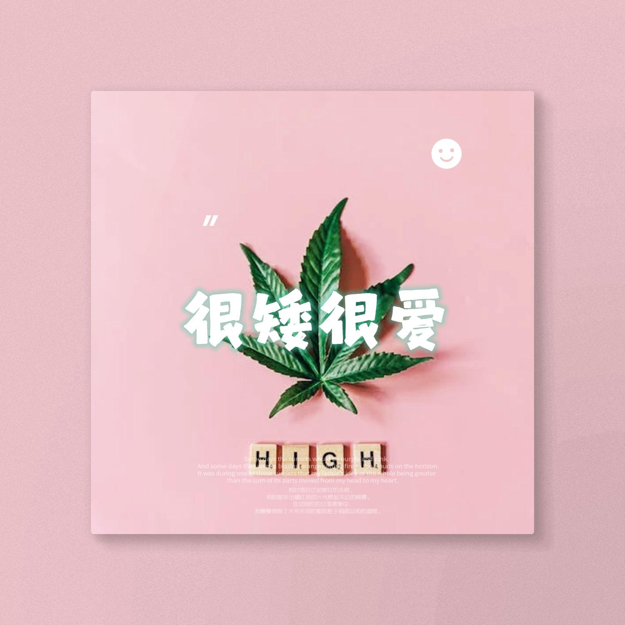 很矮很爱