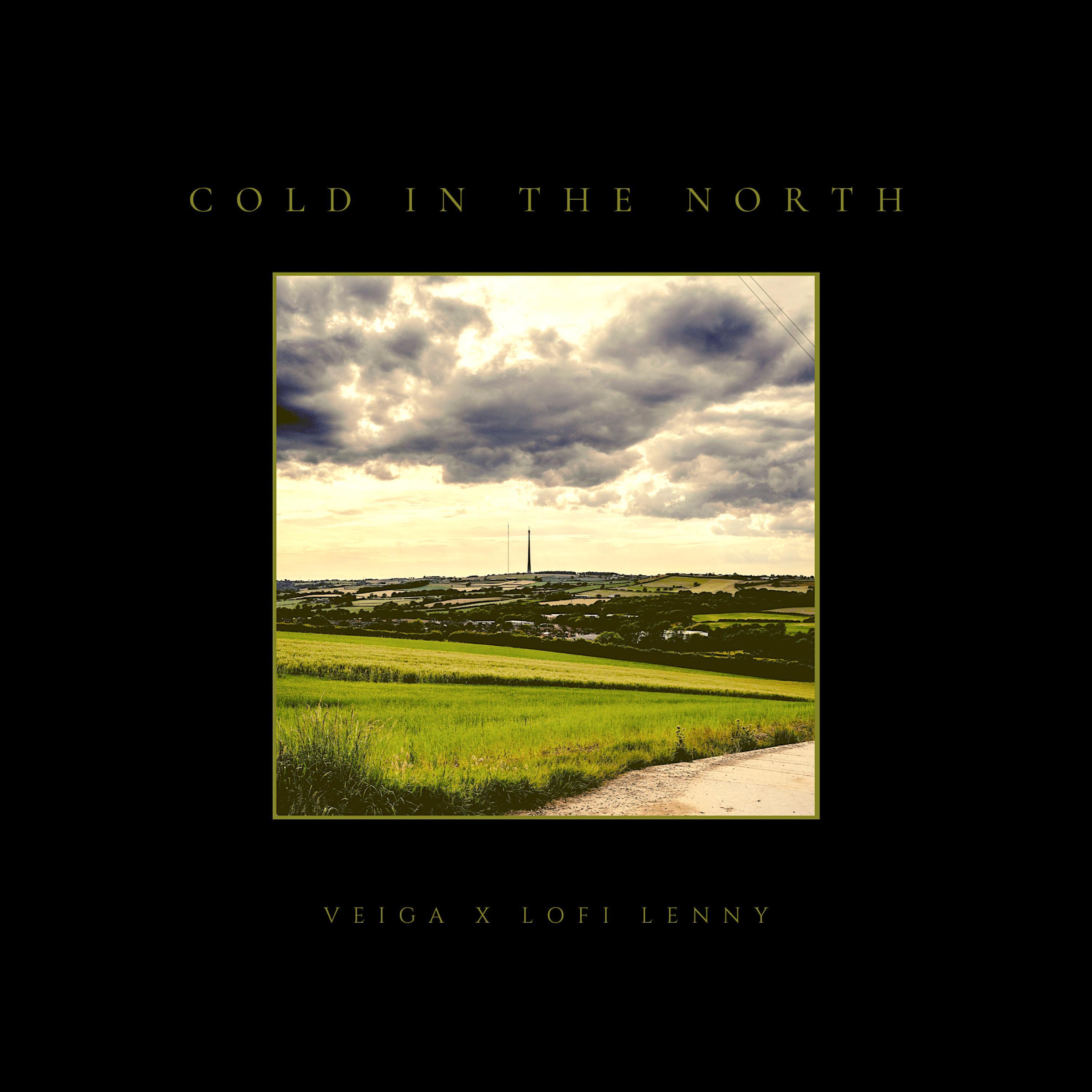 COLD IN THE NORTH