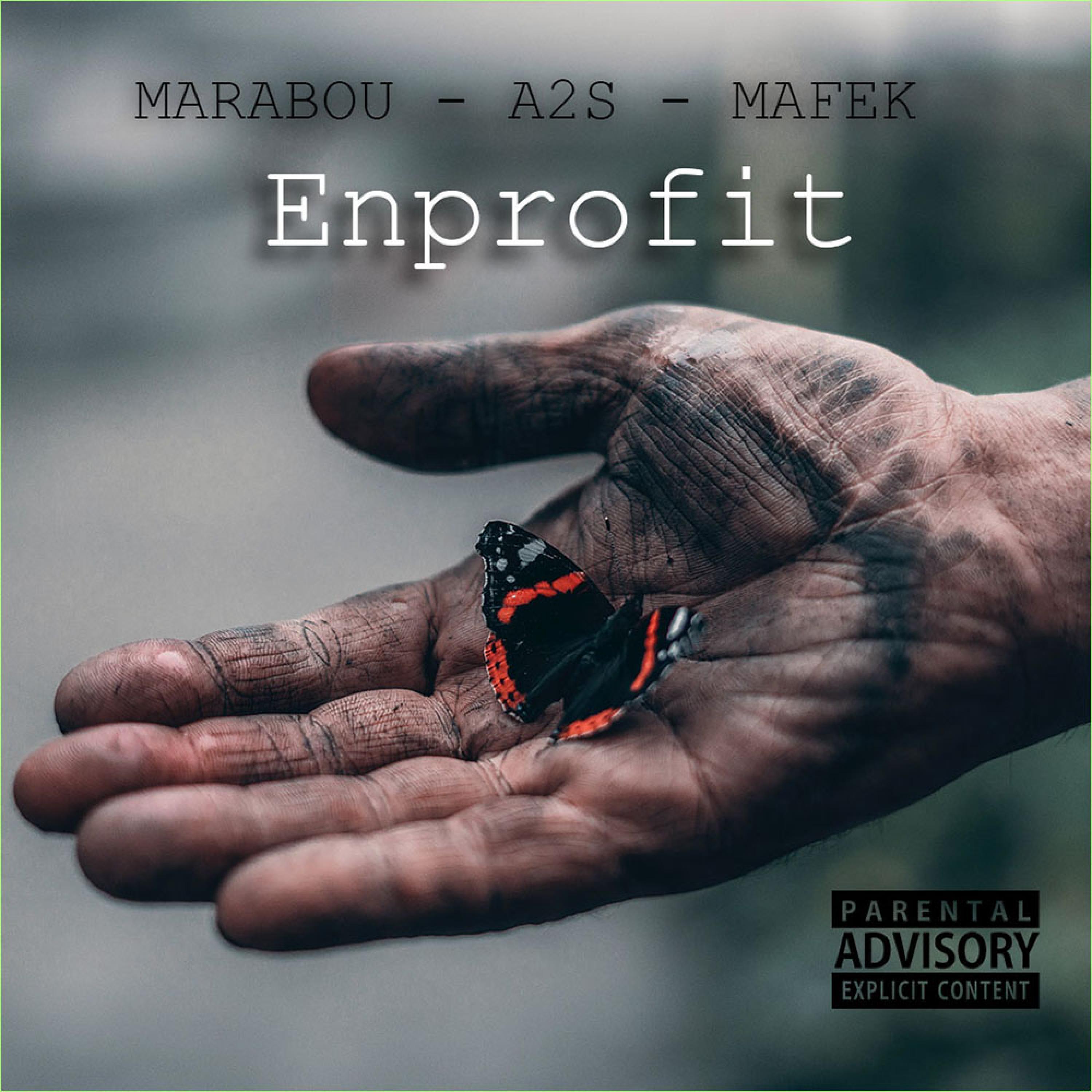 Enprofit