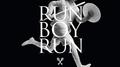 Run Boy Run (Remixes)专辑