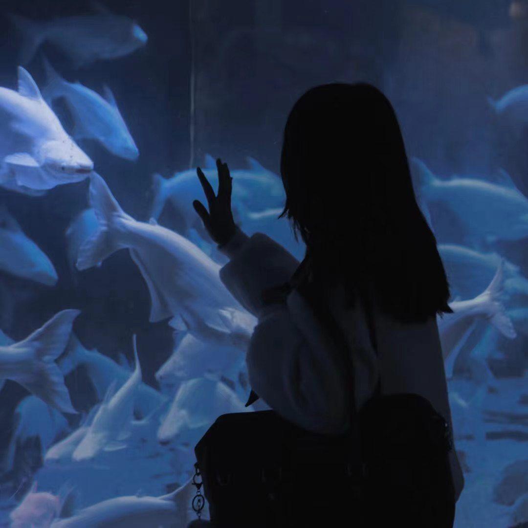 不得不爱(DJ热播版)