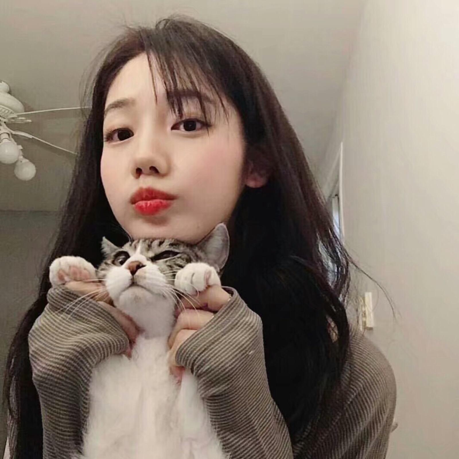 雪游泳了吗
