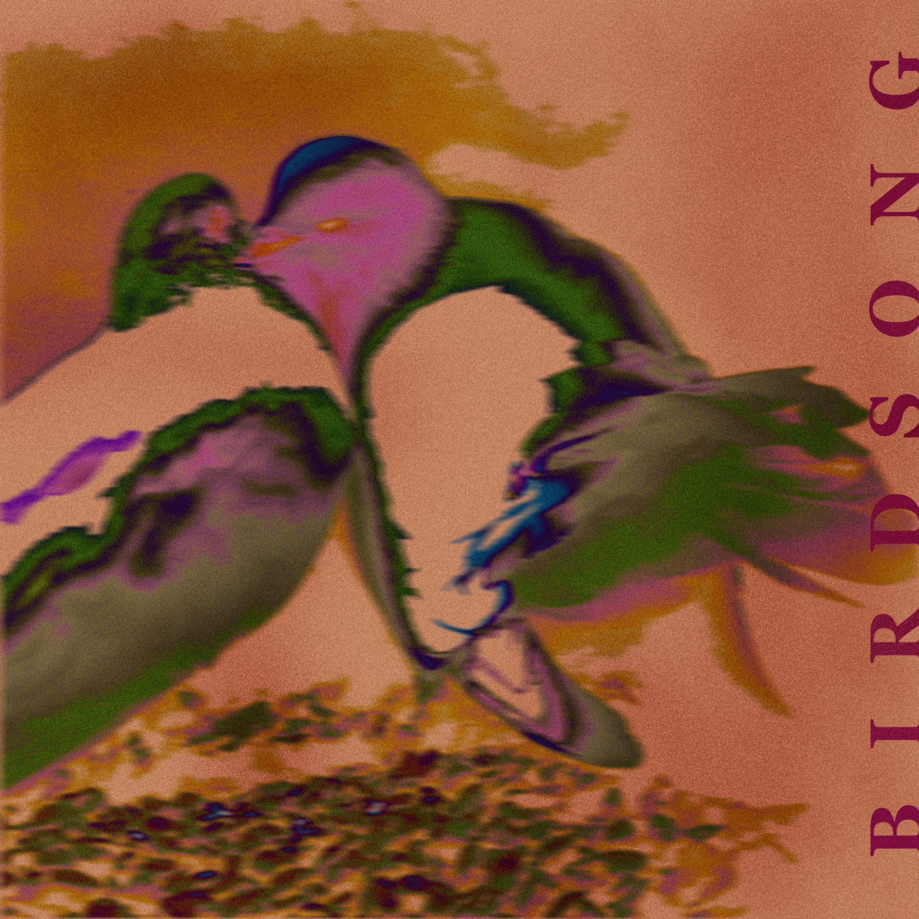 Birdsong