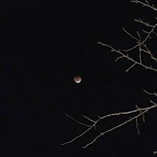 抬眸无期已失控