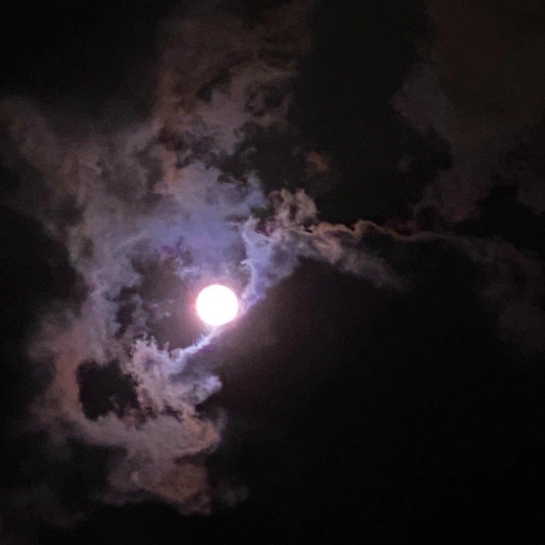 The Oni-那年冬天的茶馆