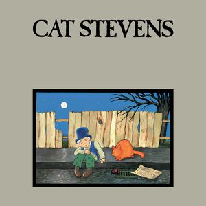 Cat Stevens - Peace Train (PT karaoke) 带和声伴奏
