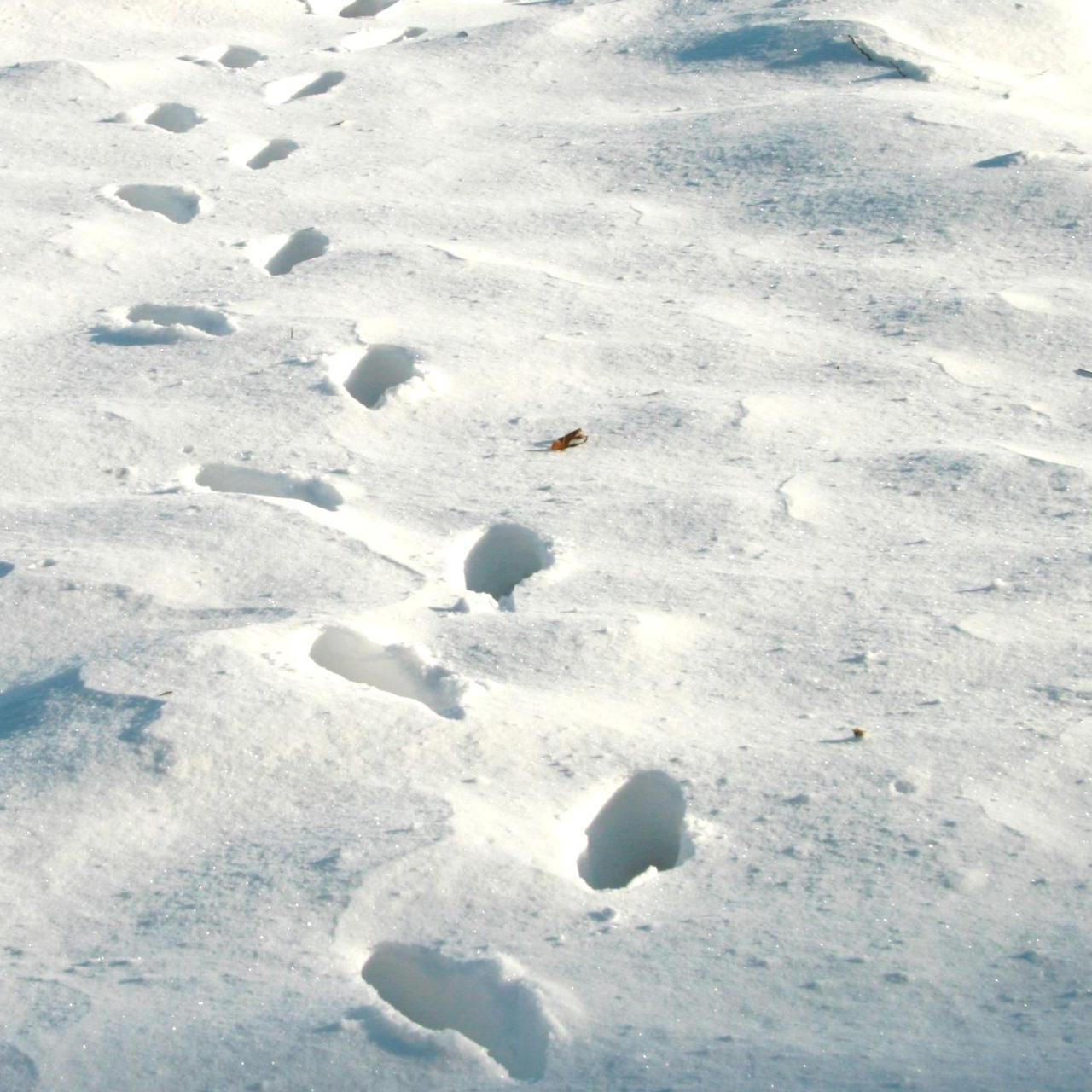 一路上