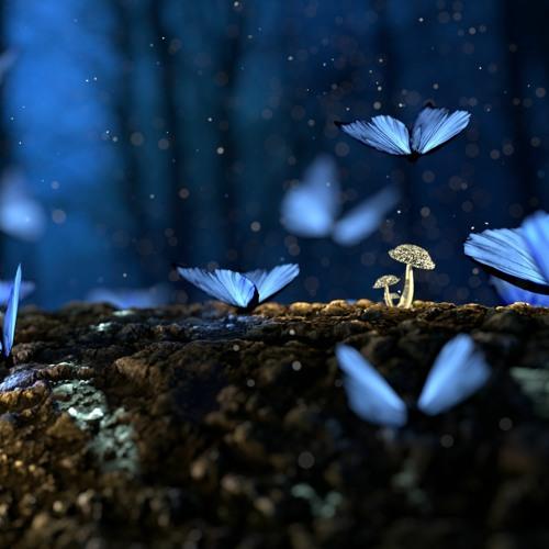 The Life We Had Before