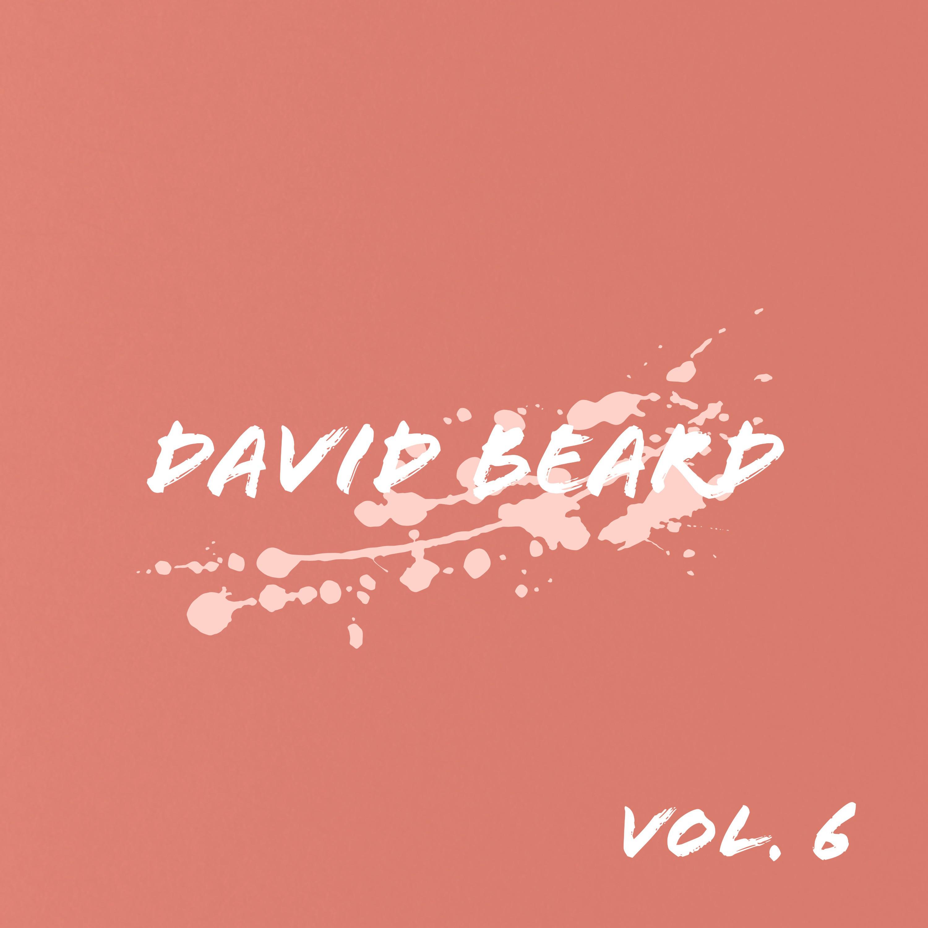 David Beard - Caribbean Holiday