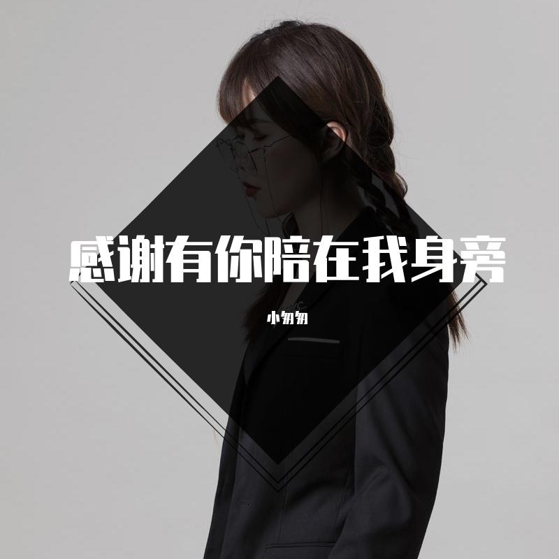 感谢有你陪在我身旁