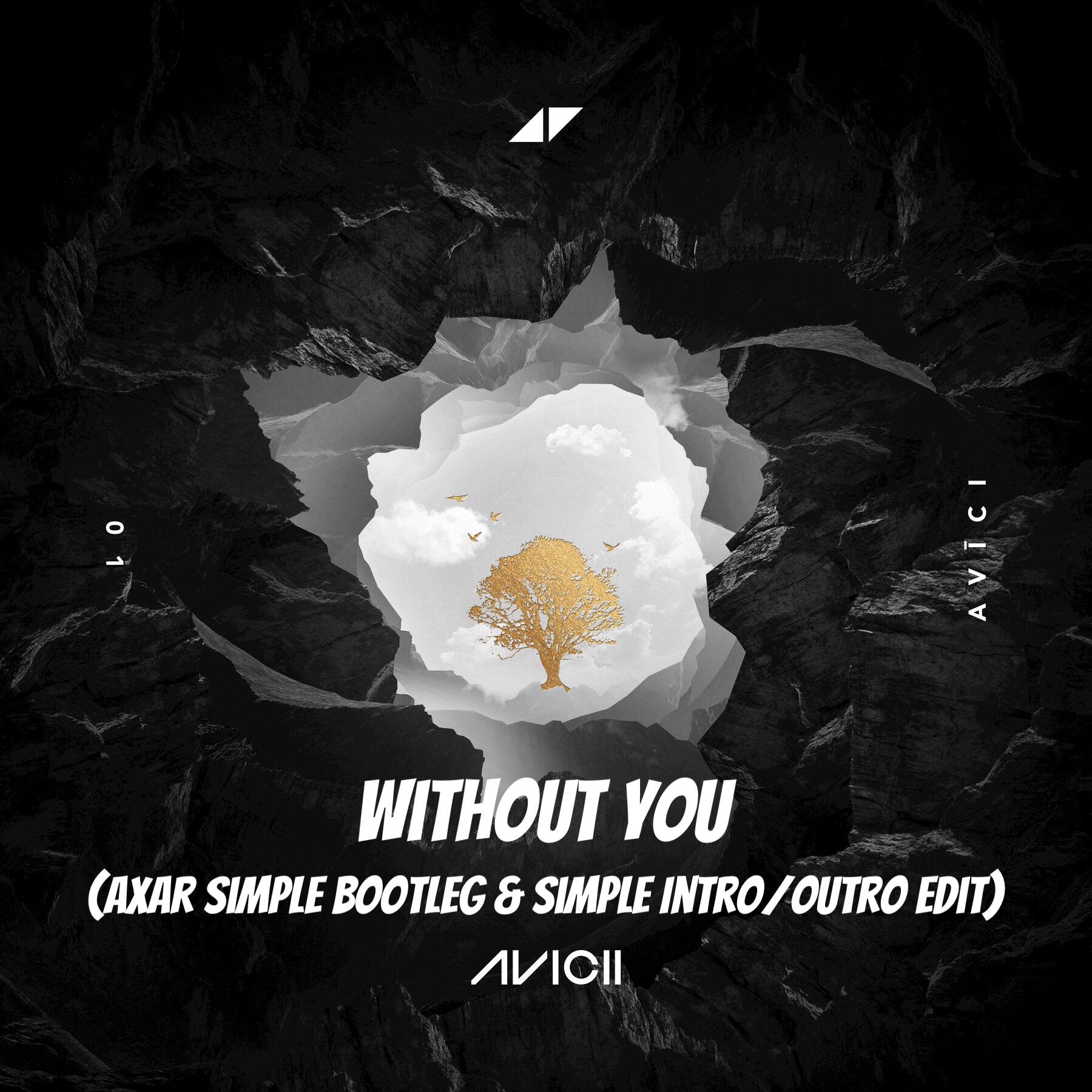 Without You (Axar Simple Bootleg & Edit)专辑