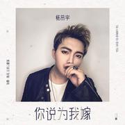 你说为我嫁