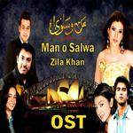 Tere Ishq Mein  (From "Man O Salwa")专辑