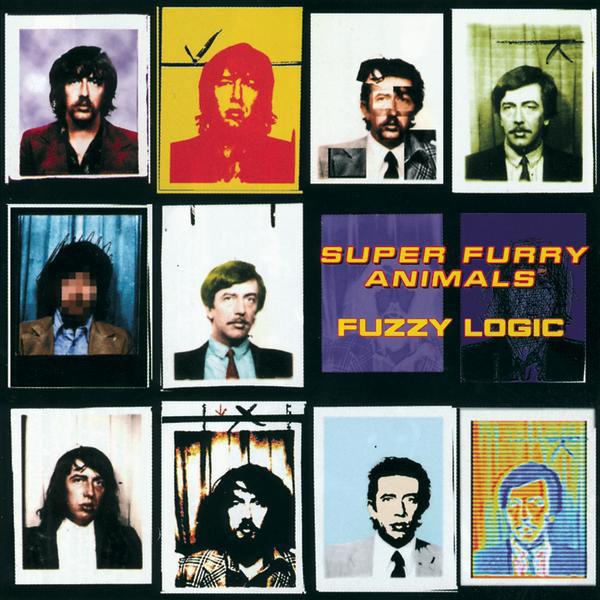 Fuzzy Logic (20th Anniversary Deluxe Edition)