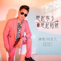 刘龙飞 - 想起家乡想起姑娘(伴奏).mp3