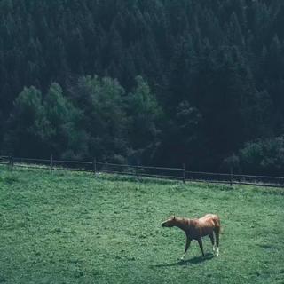 民谣收集录【精选】