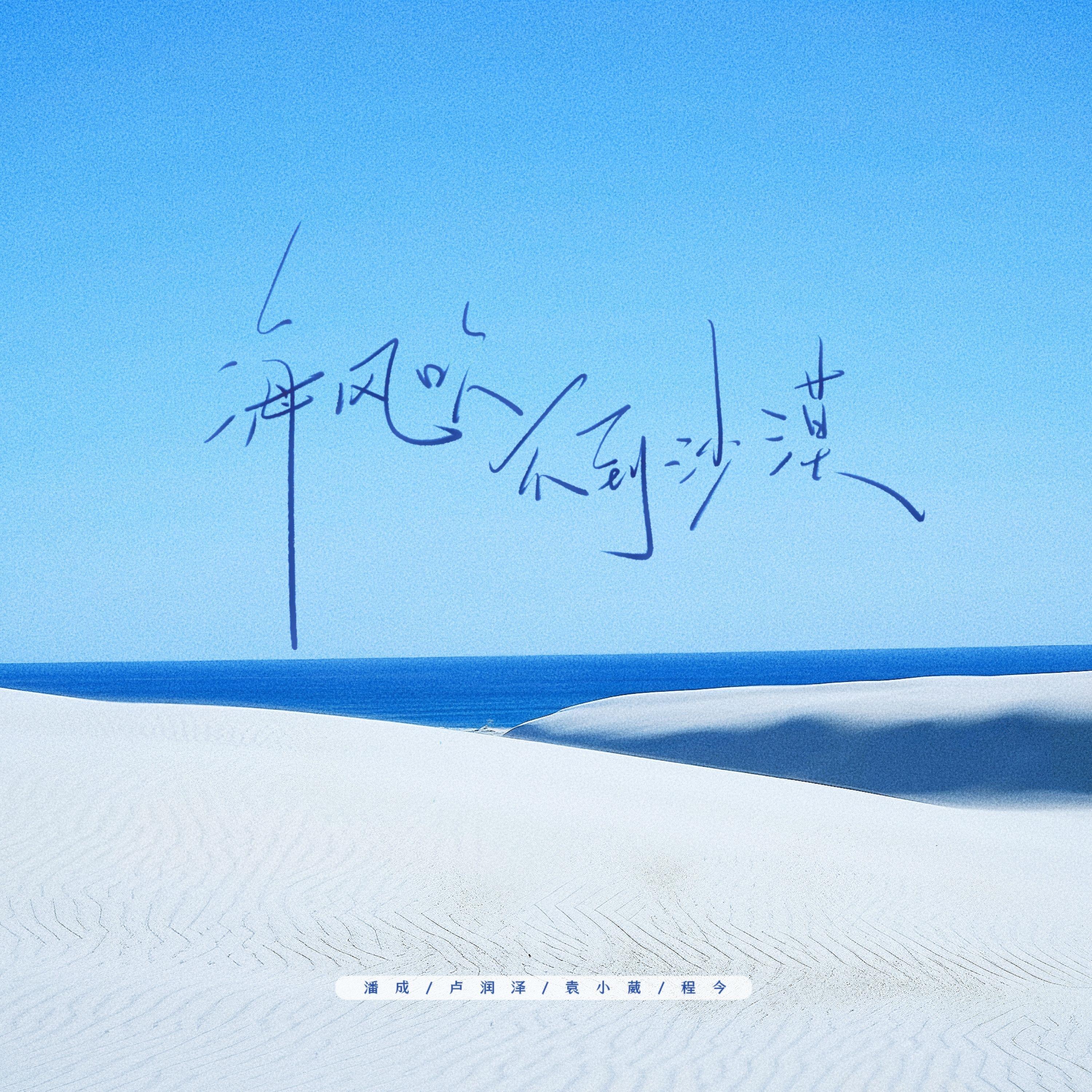 海风吹不到沙漠（DJ小伟版）