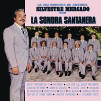 La Sonora Santanera - Mi Razon (karaoke)