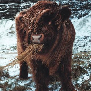 说唱 | 让梦想变成现实