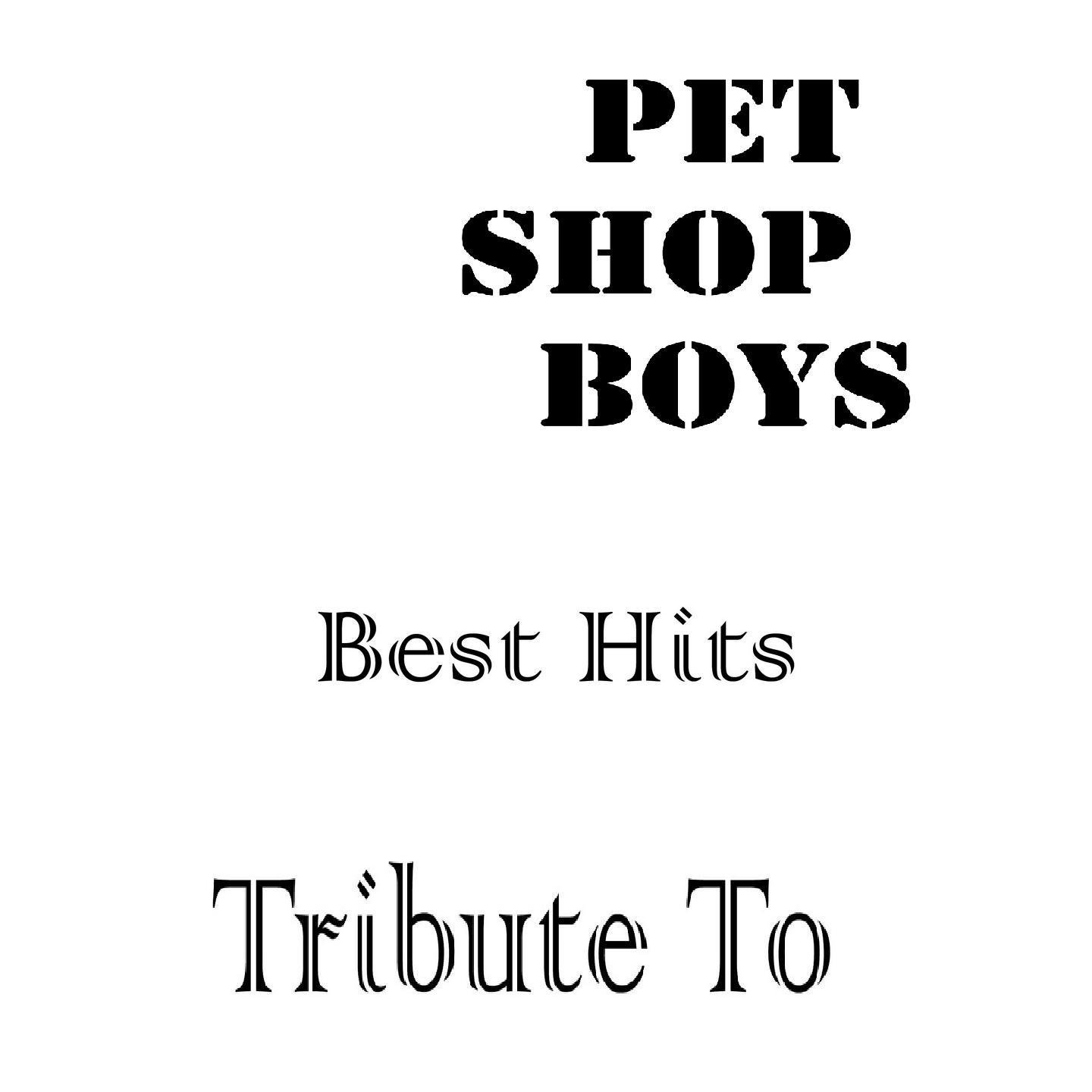 Tribute to Pet Shop Boys (Best Hits)