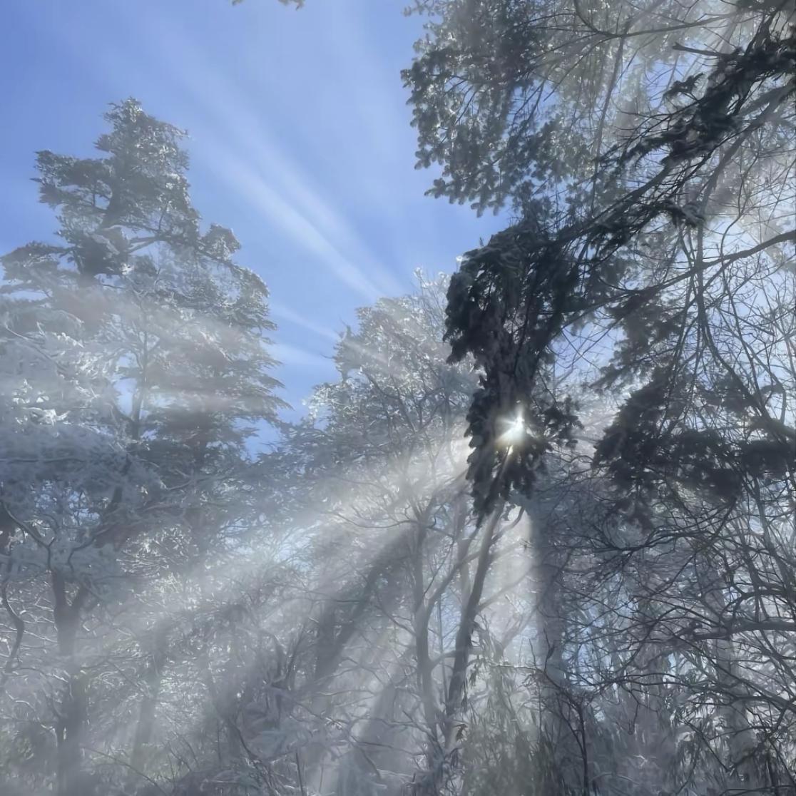 湄公河二号 越南电音