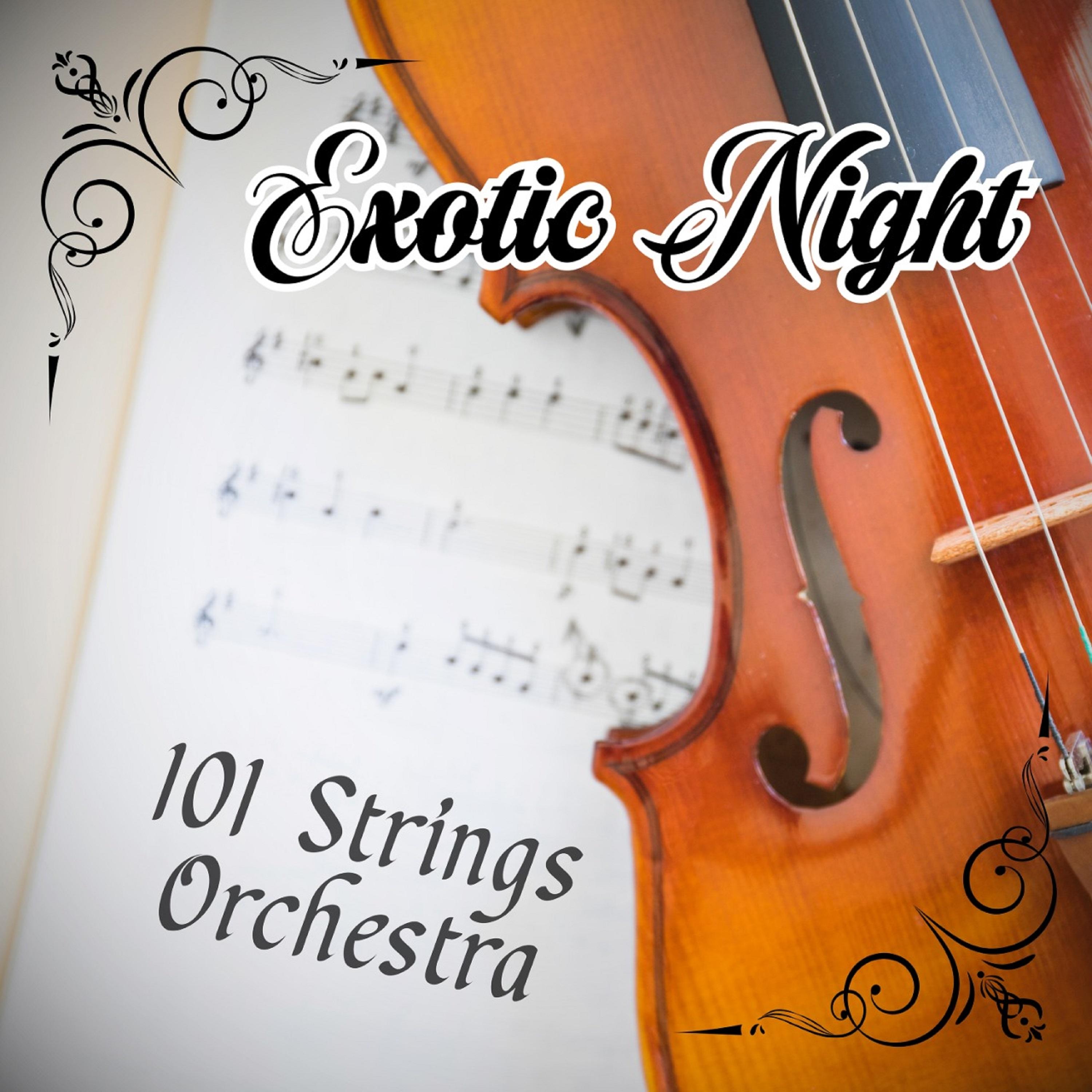 Exotic Night (Instrumental)