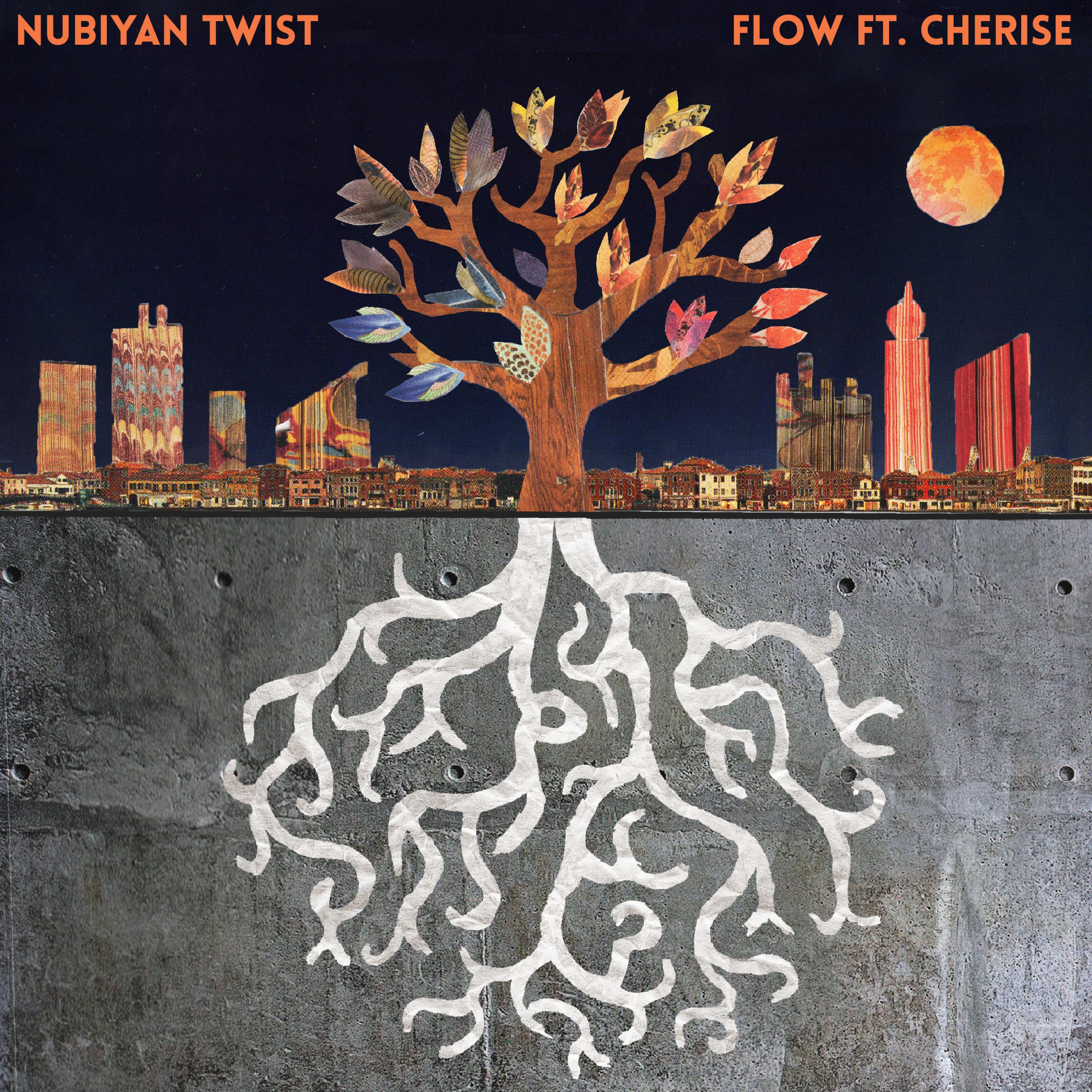 Nubiyan Twist - Flow