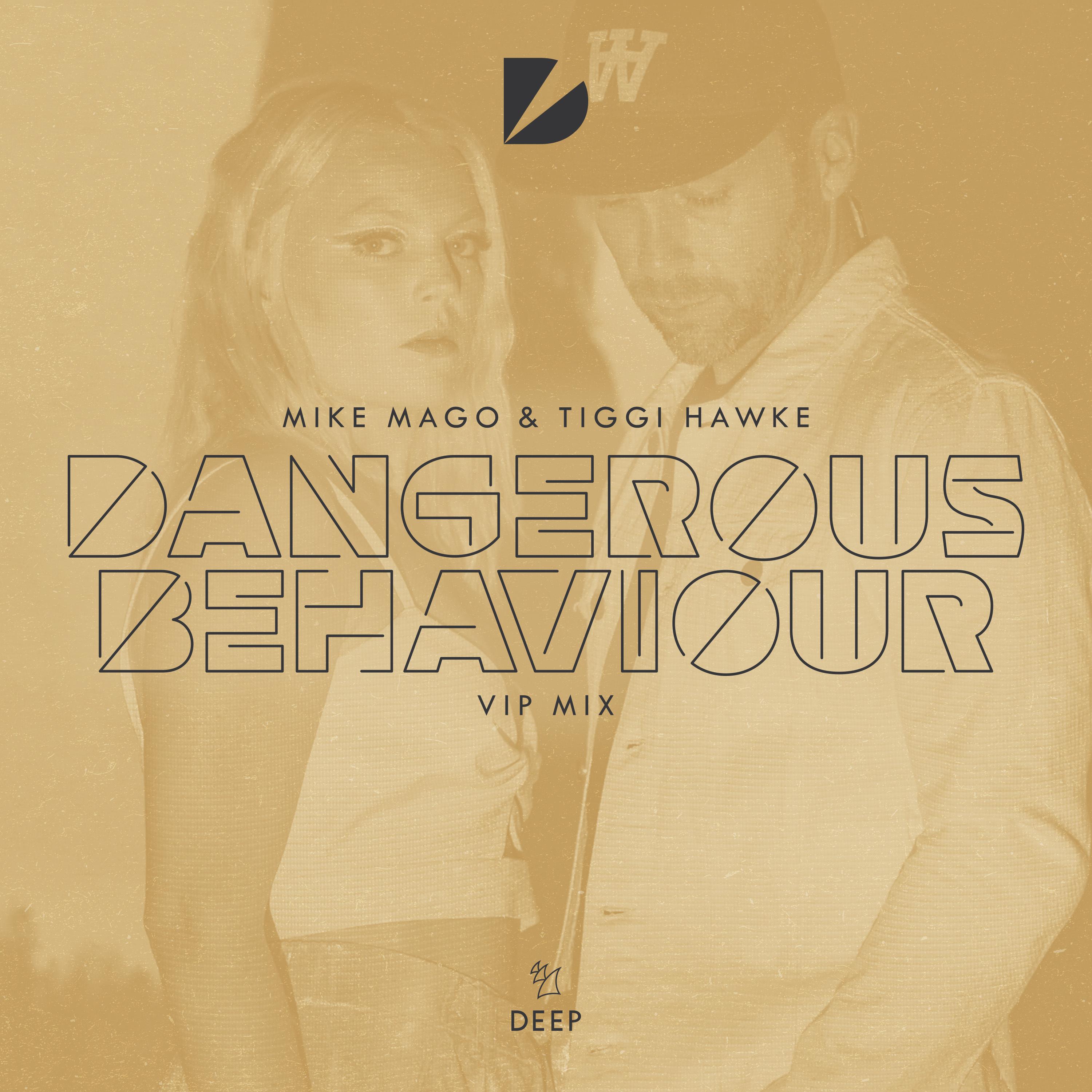 Dangerous Behaviour (VIP Mix)专辑