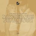 Dangerous Behaviour (VIP Mix)