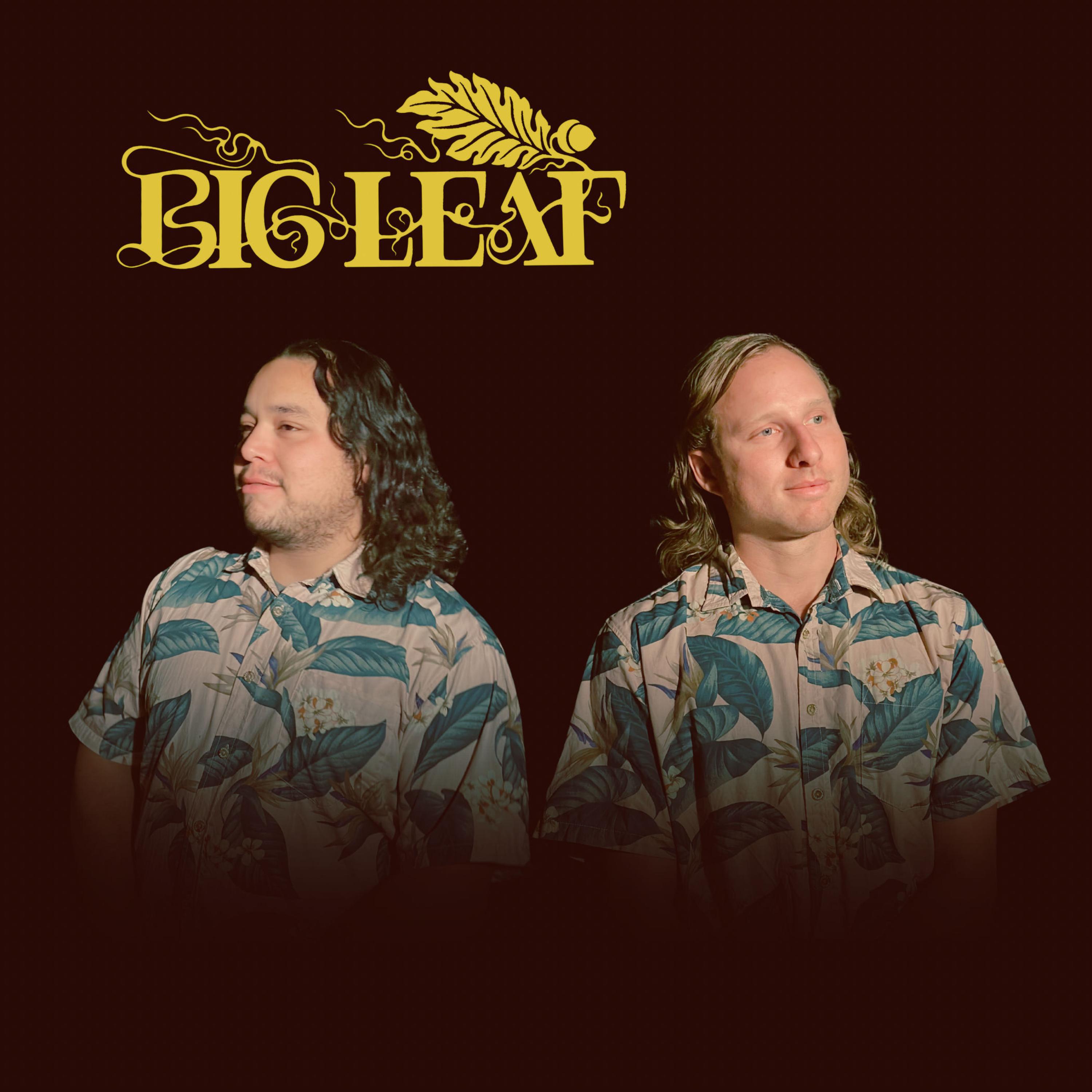 Big Leaf - New Clear Vision